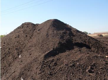 Cow manure dryer